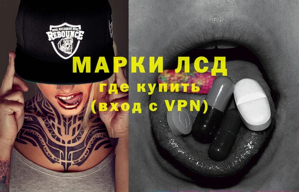 a pvp Бородино