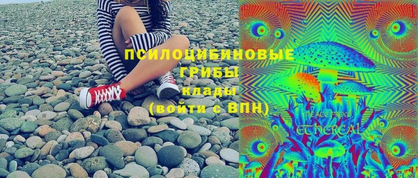 a pvp Бородино