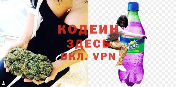 a pvp Бородино