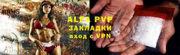 a pvp Бородино