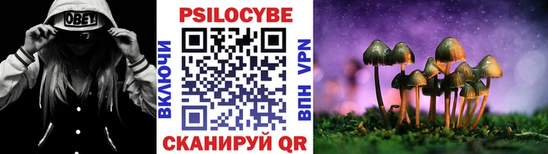 Купить Камышлов Псилоцибиновые грибы мицелий